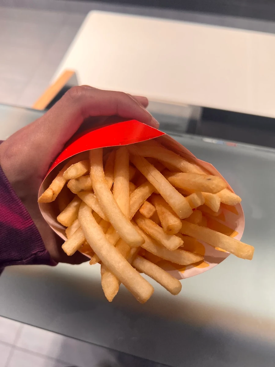 World Famous Fries – Small