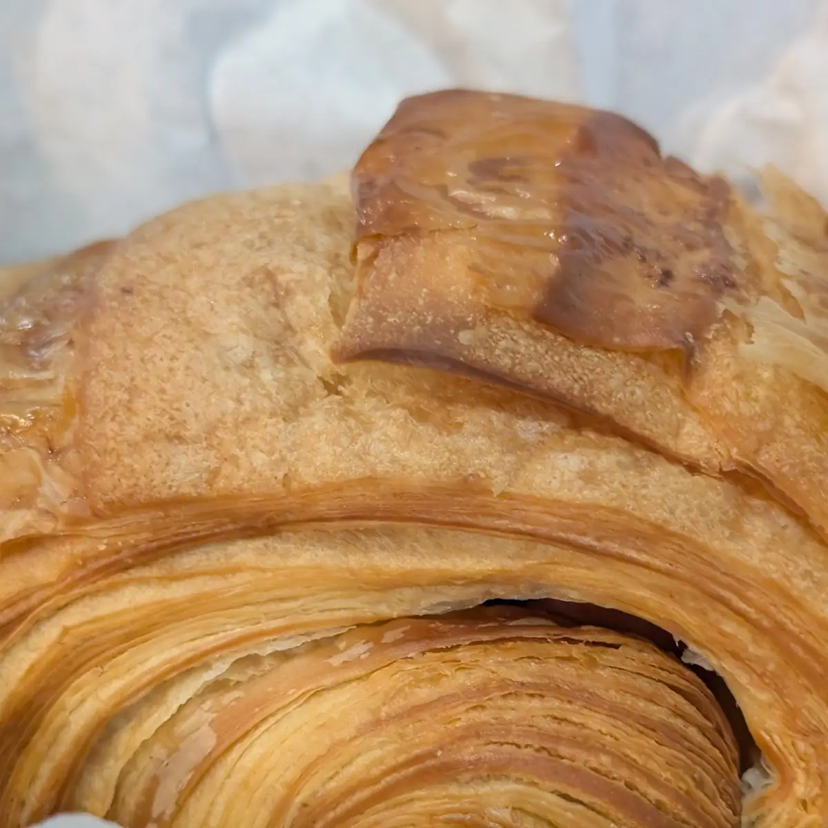 Ham and Cheese Croissant