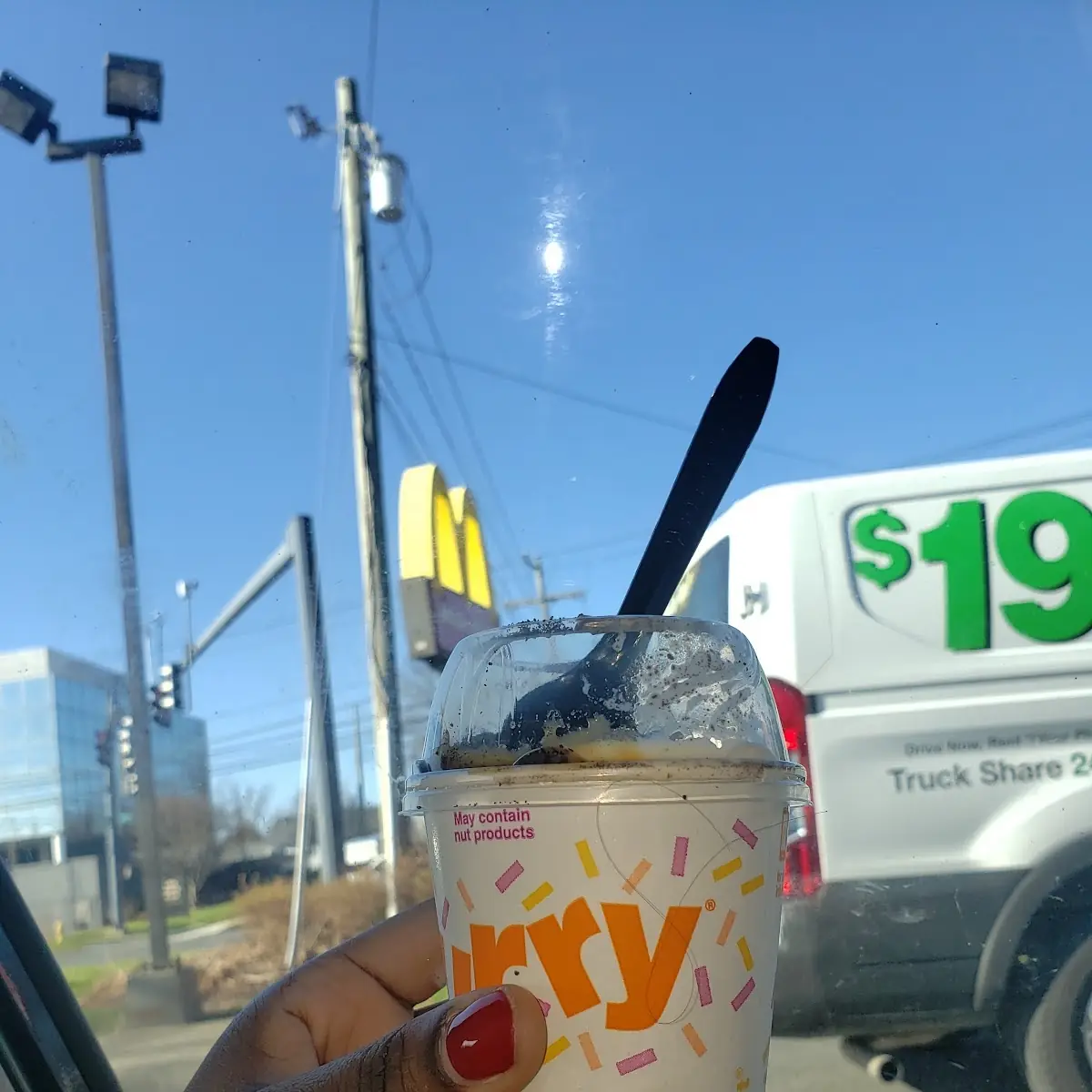 Hair in a Mcflurry