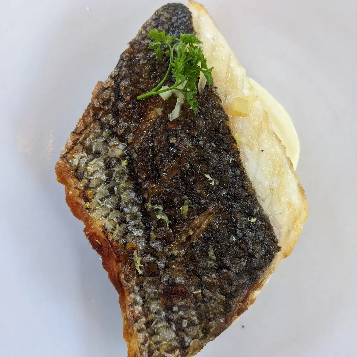 Sea Bass