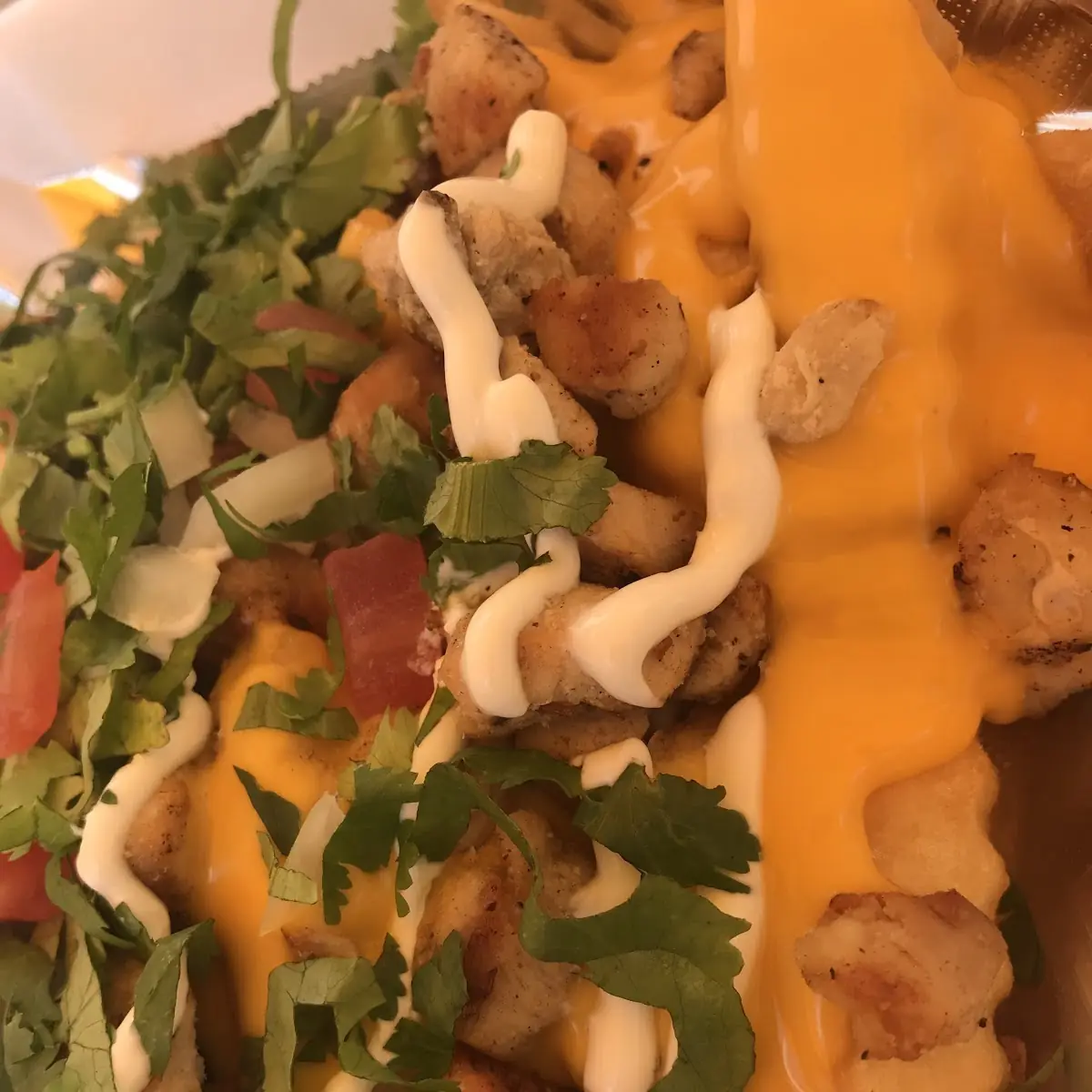 Loaded Fries
