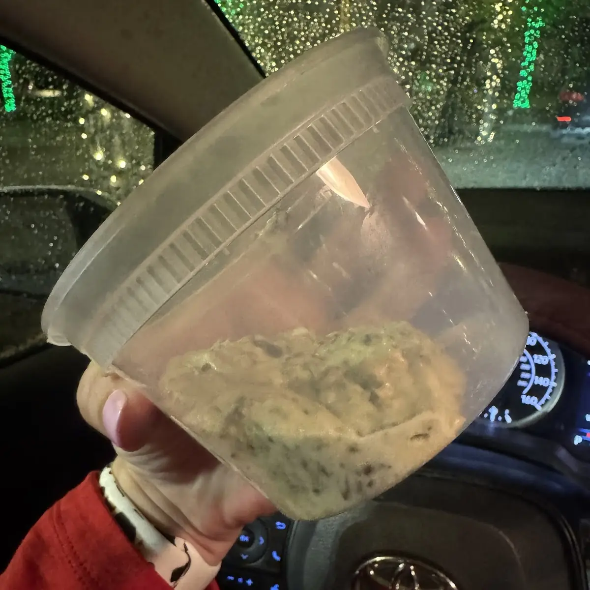 Spinach Dip