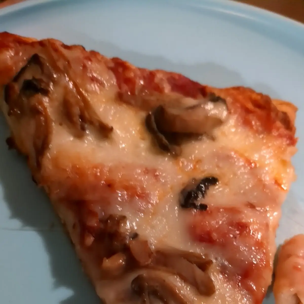 Mushroom Pizza