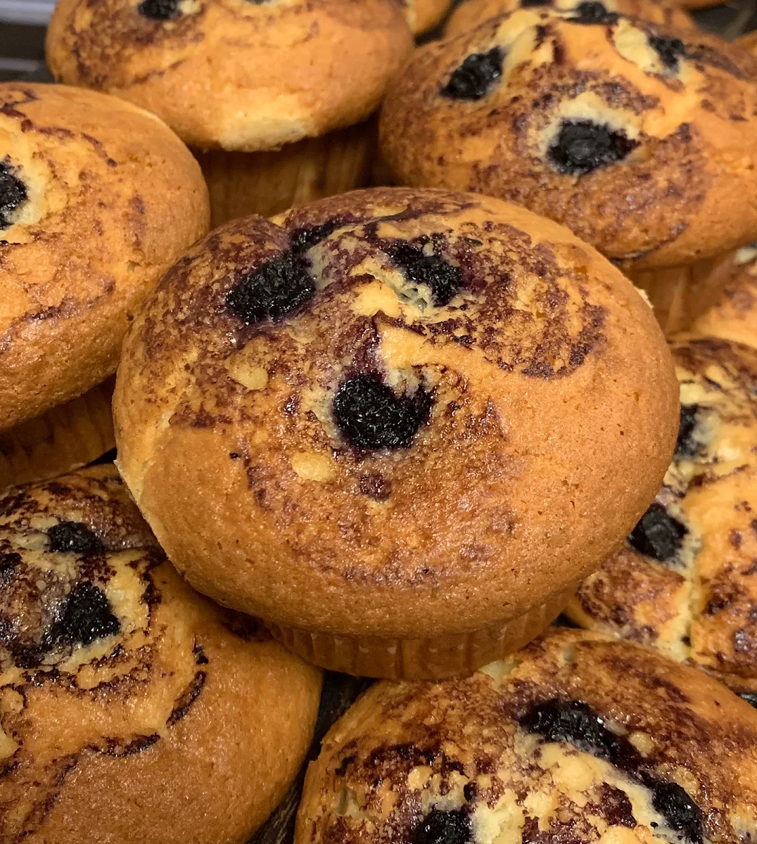 Blueberry Muffin
