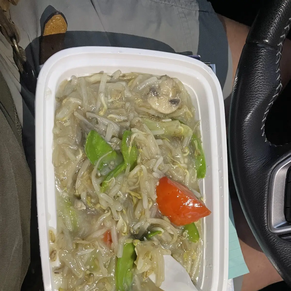 Chow Mein Cantonese with Vegetable Egg Rolls