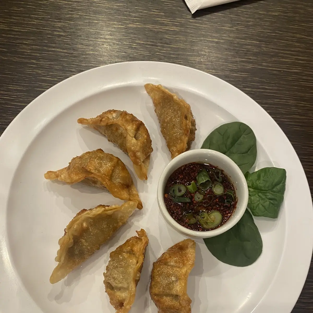 Deep Fried Beef Dumplings