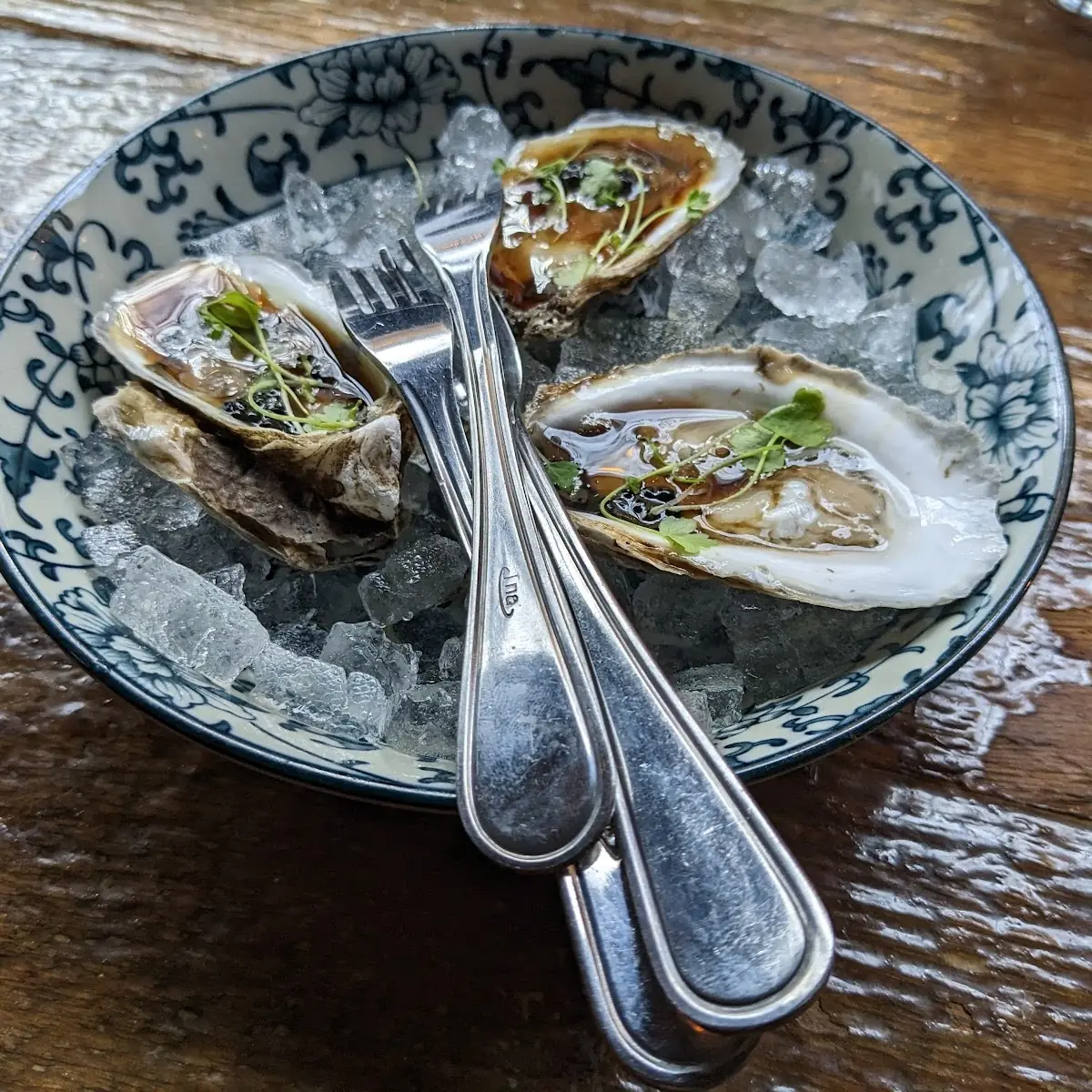 Ceviche Oysters