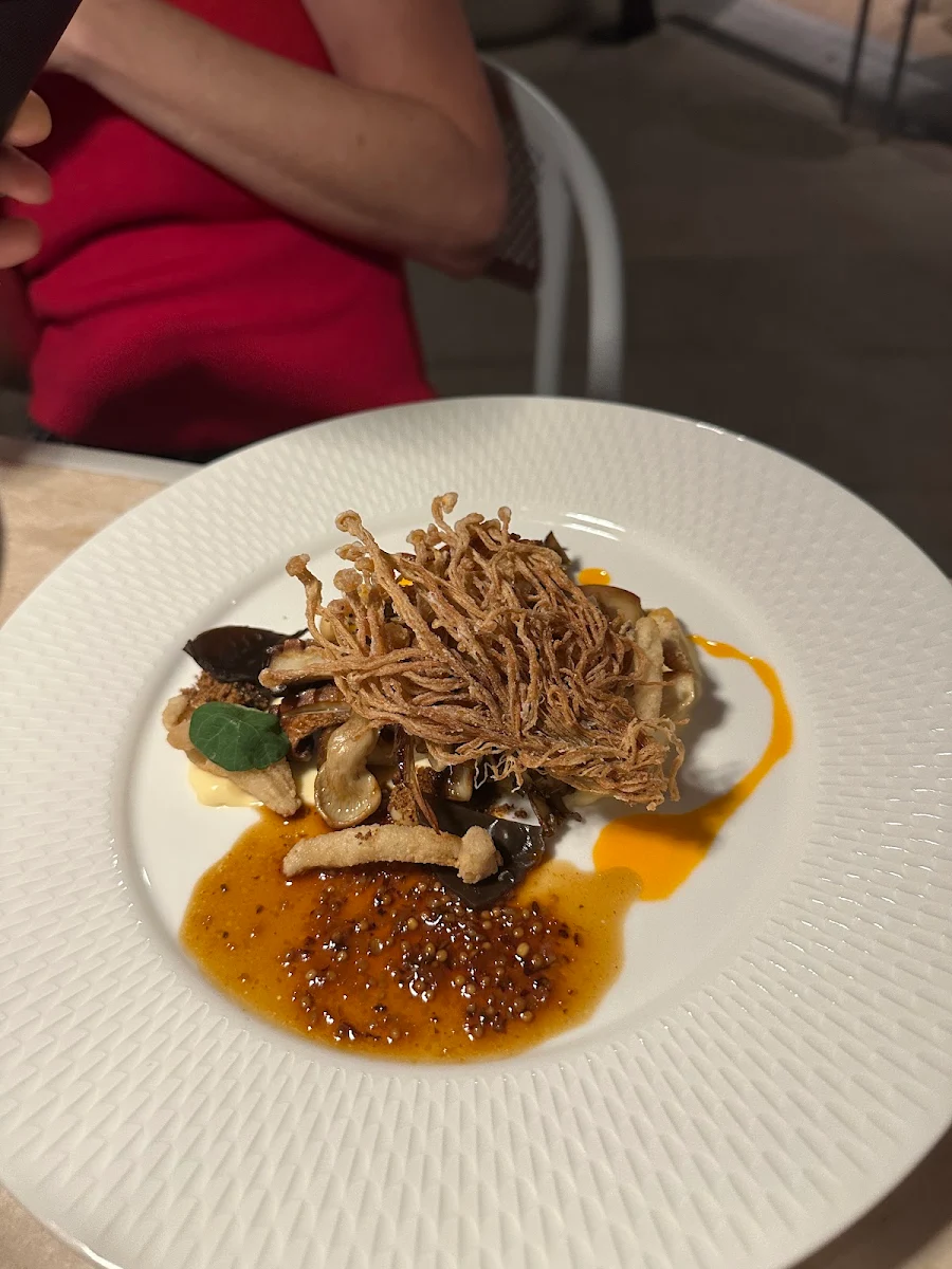 Mushrooms, Aloria