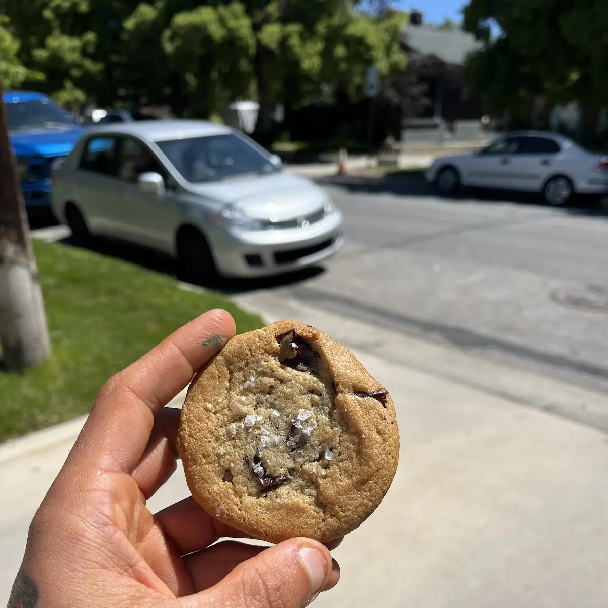 Chocolate Chip Cookie