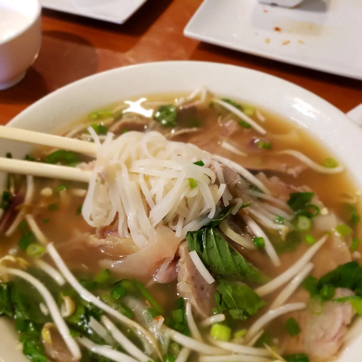 Plain Pho with Beef Broth