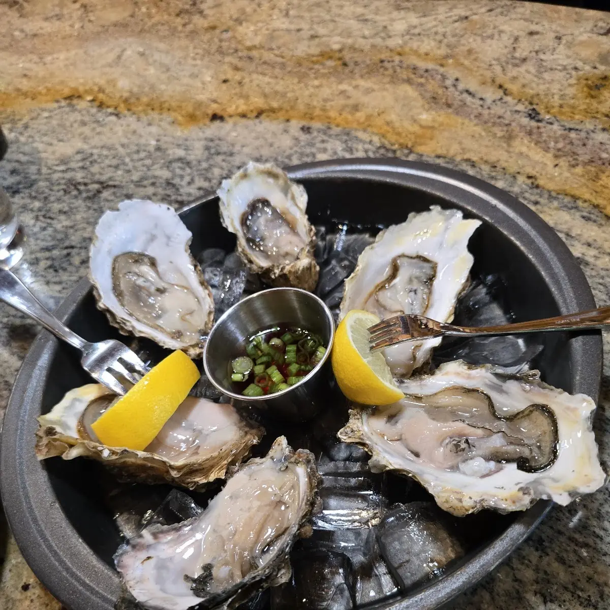 Kachemak Bay Oysters