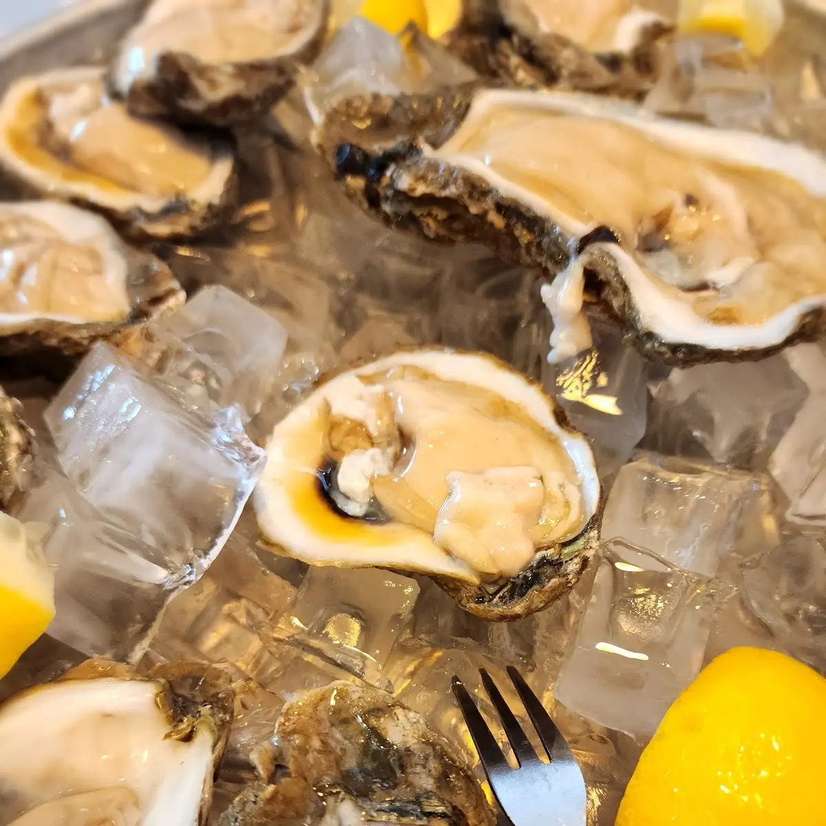 Raw Oysters