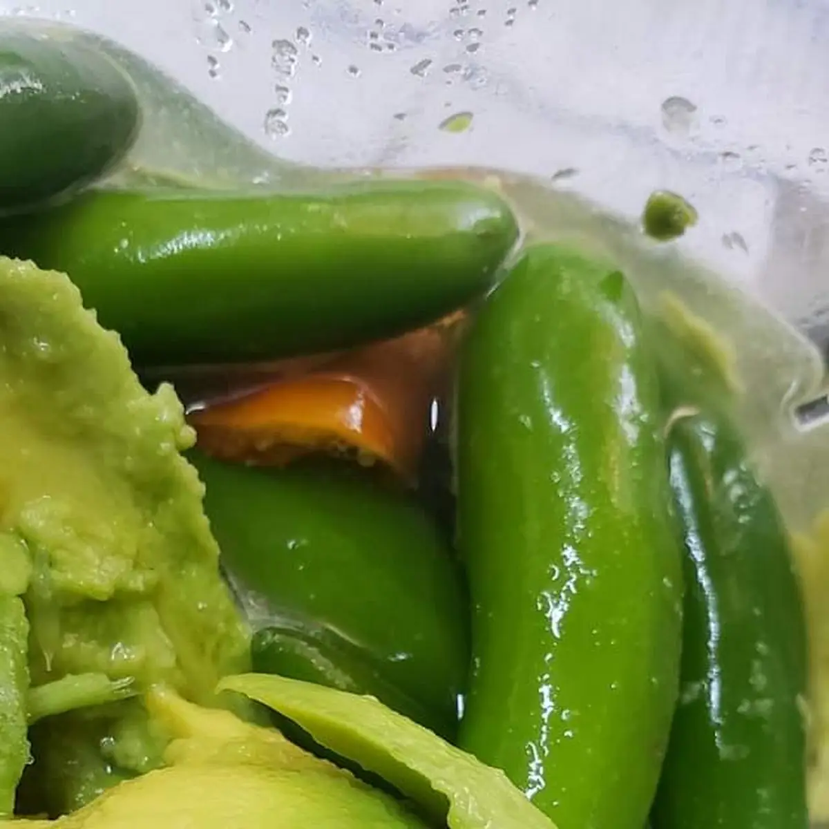 Guacamole Salsa