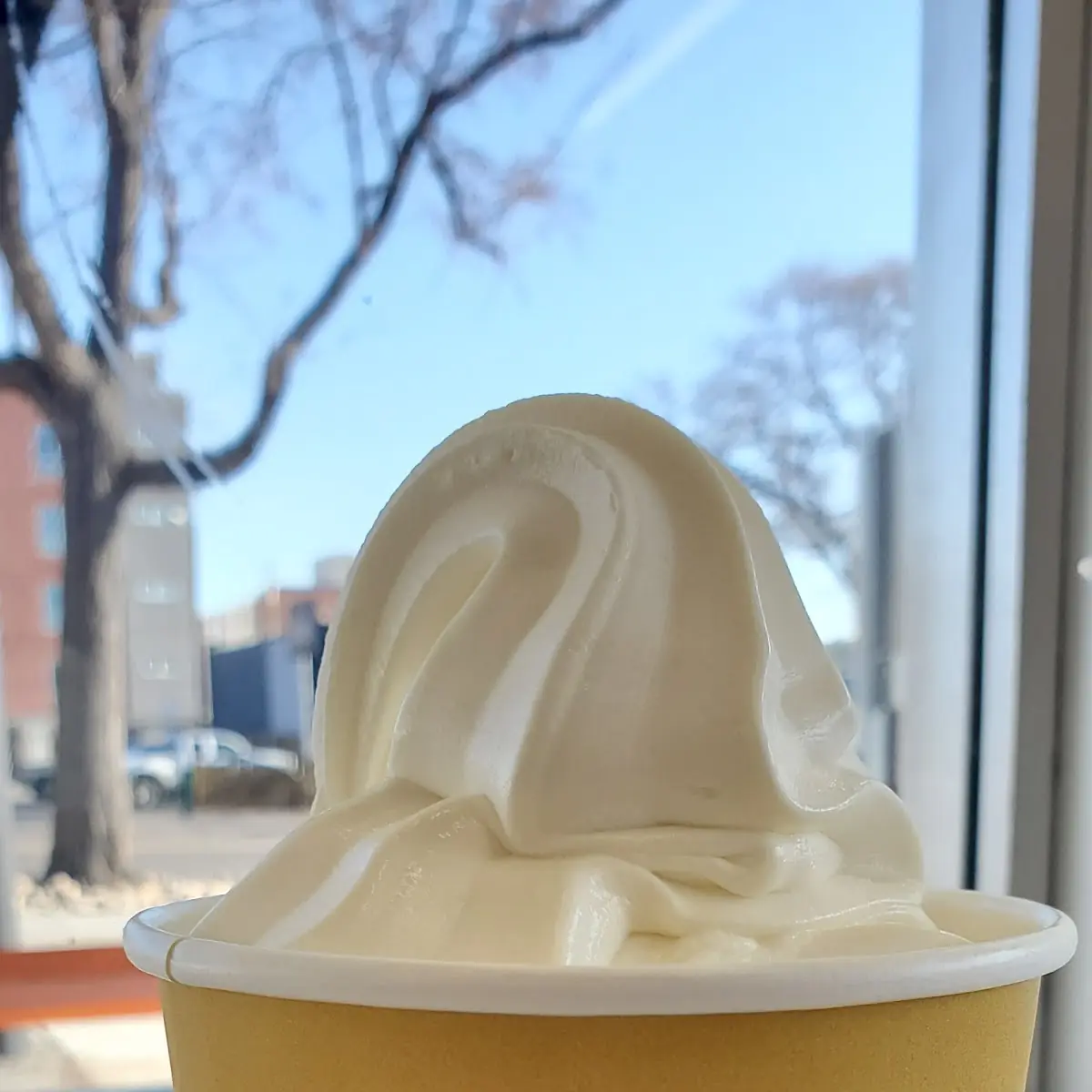 Frozen Custard