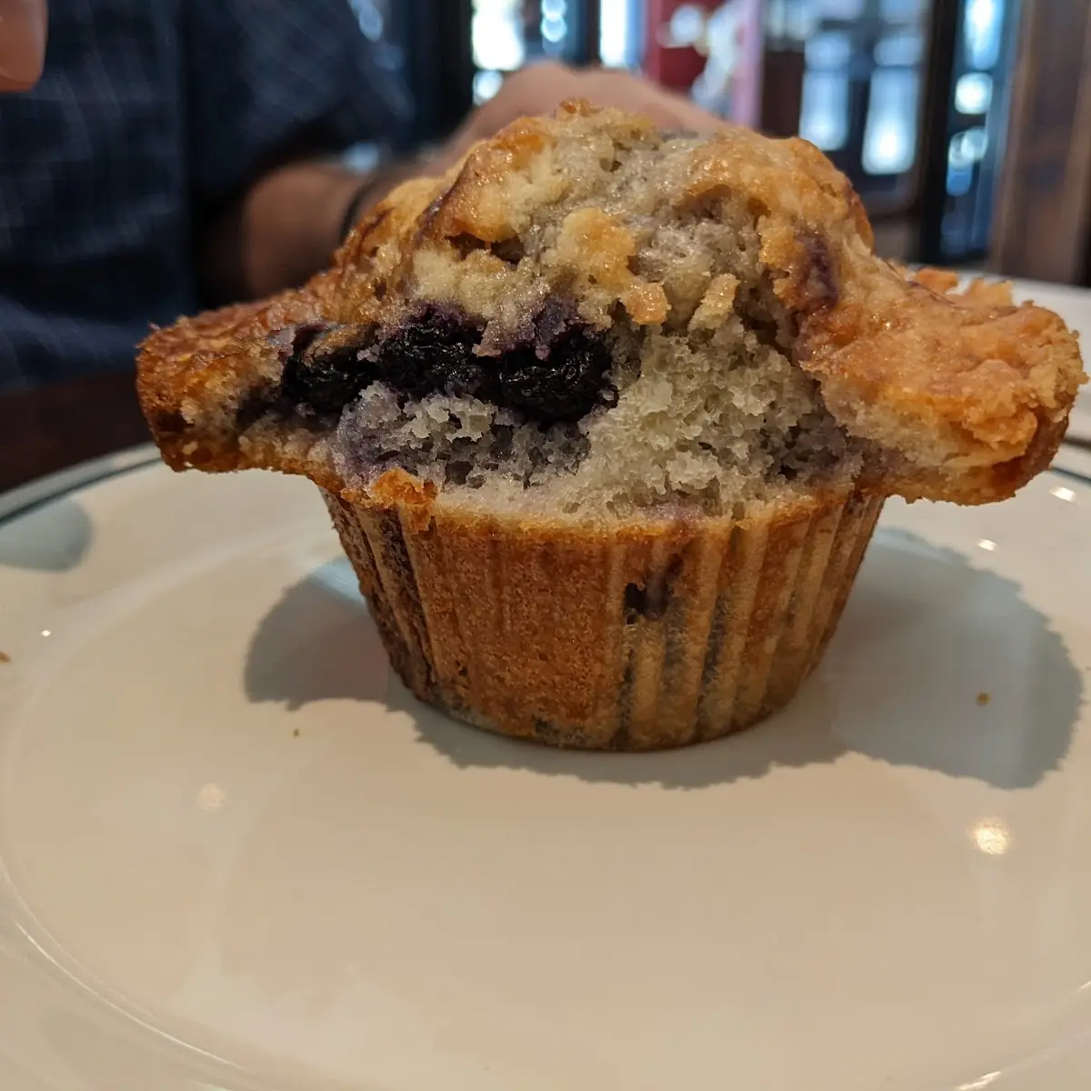 Blueberry Muffin
