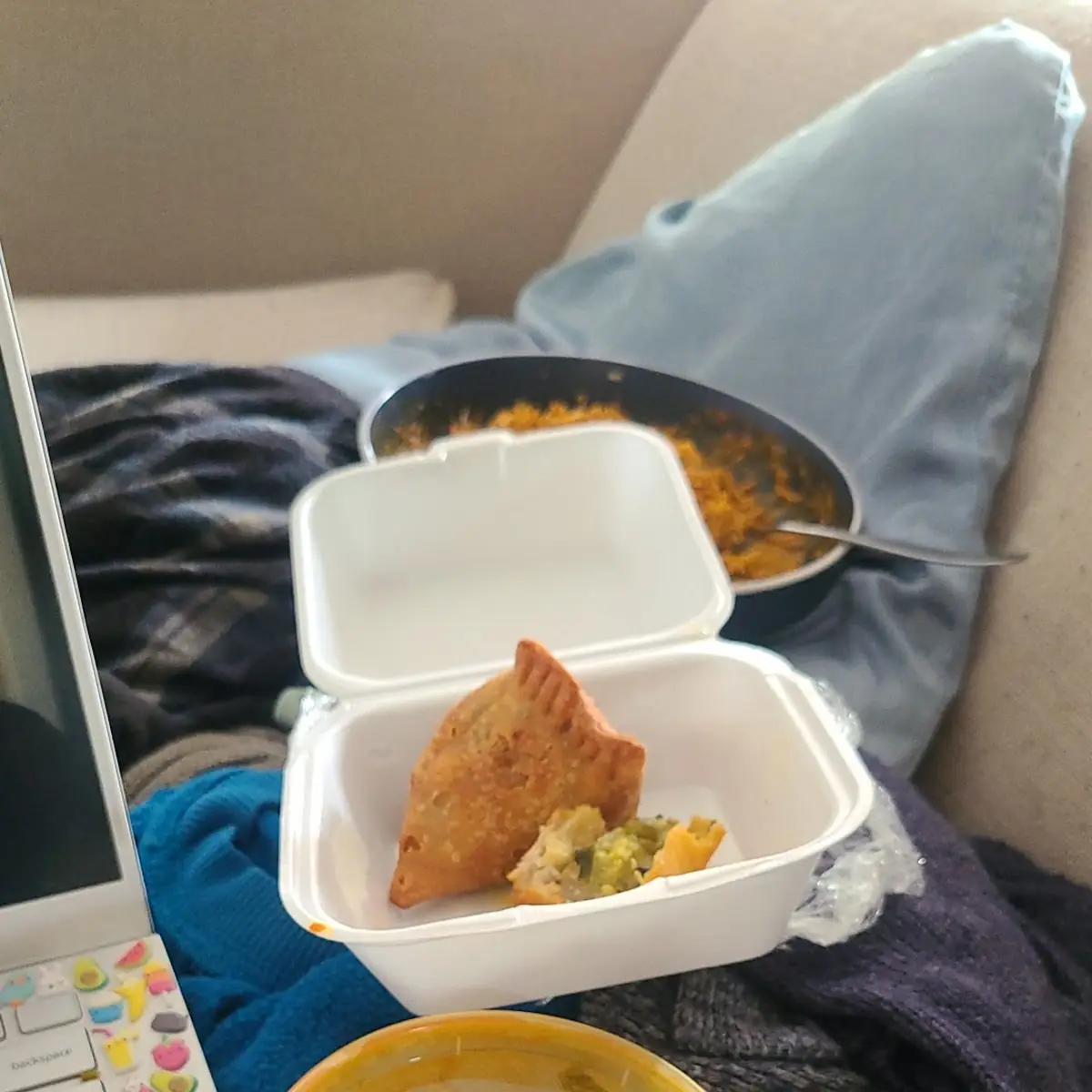 Vegetable Biryani