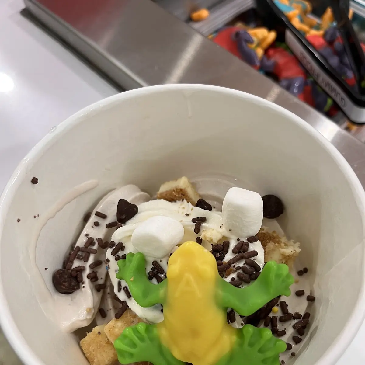 Frozen Yogurt Icecream