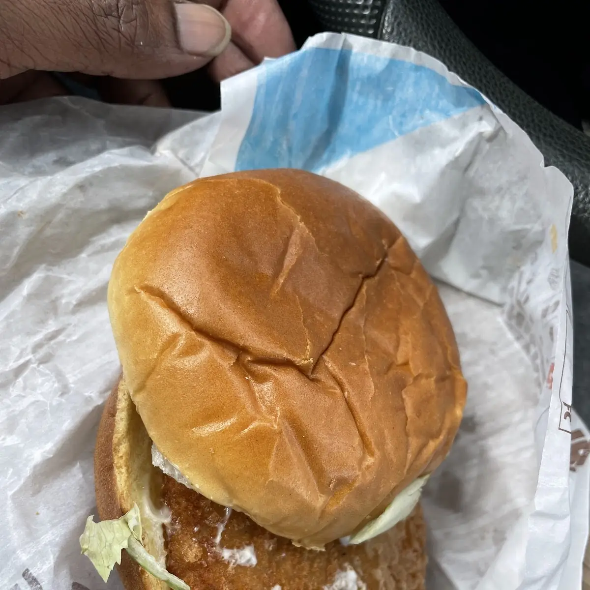 Big Fish Sandwich Combo
