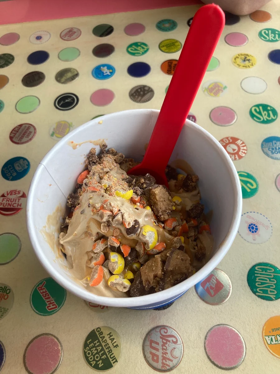 Frozen Yogurt with Candy Toppings