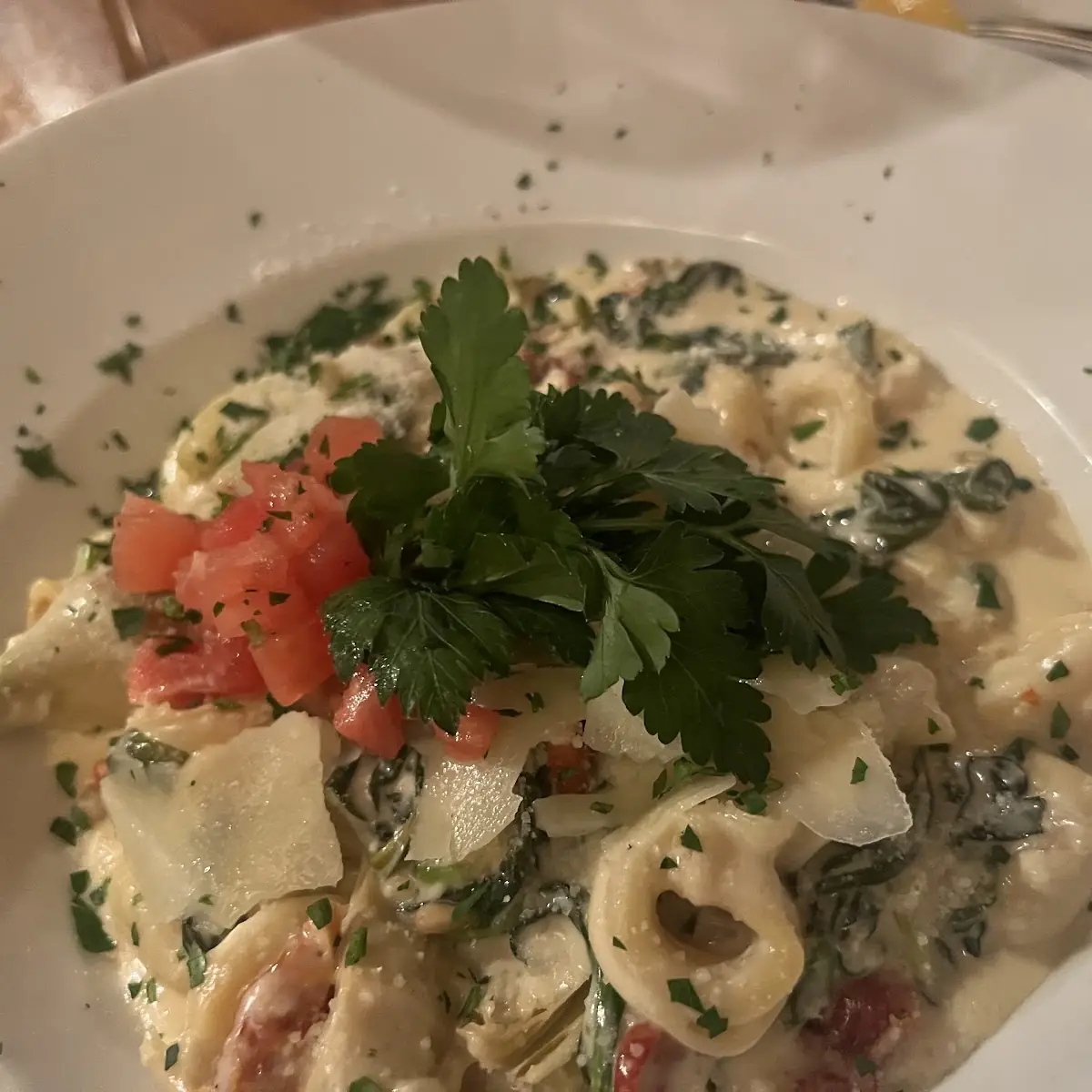 Cheese Tortellini
