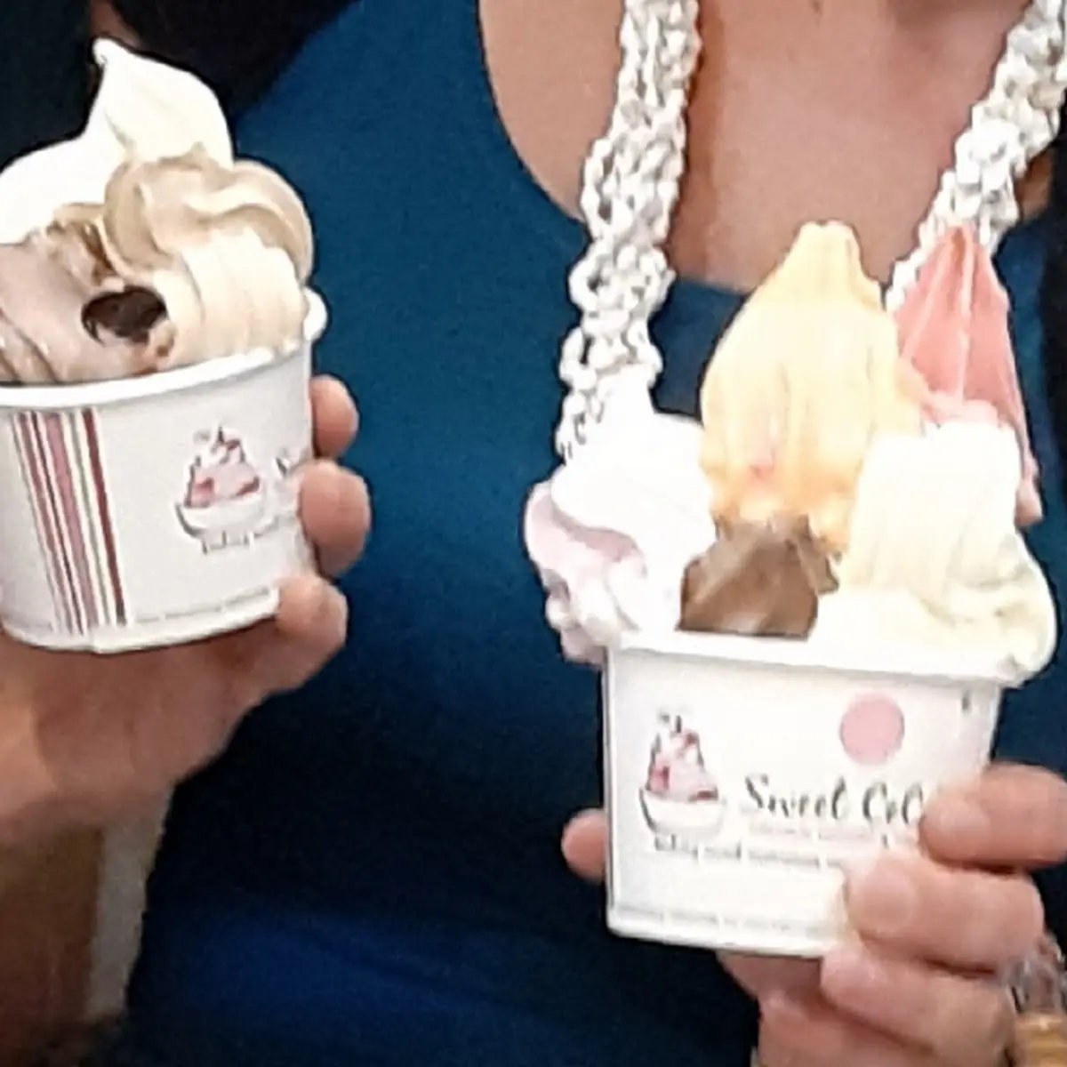 Build Your Own Yogurt Masterpiece