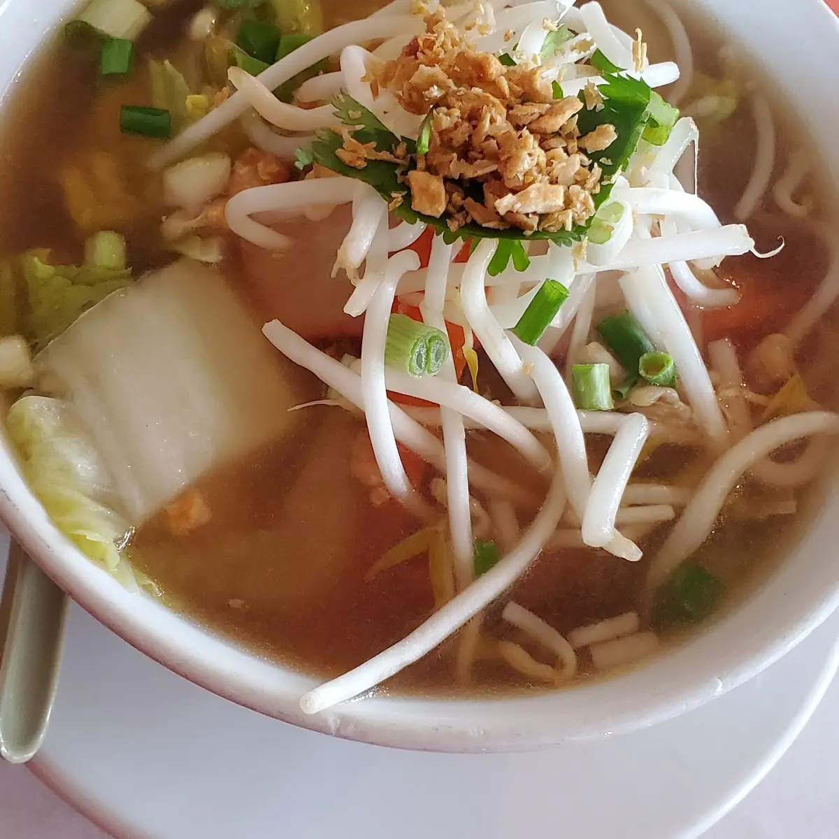 Wonton Soup