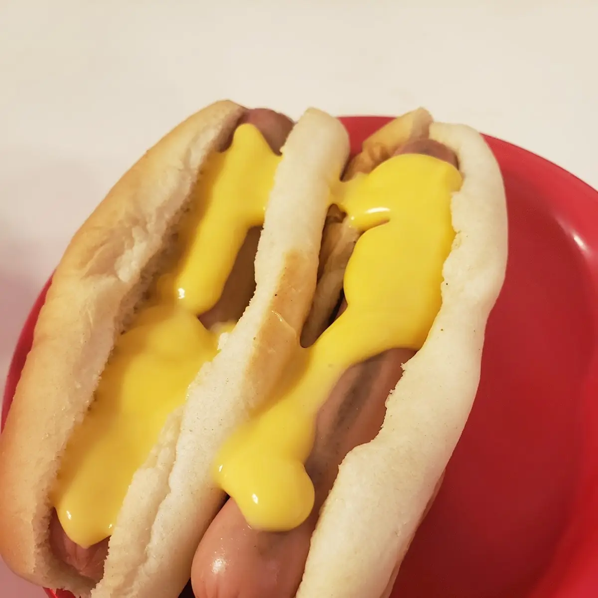 Cheese Dog