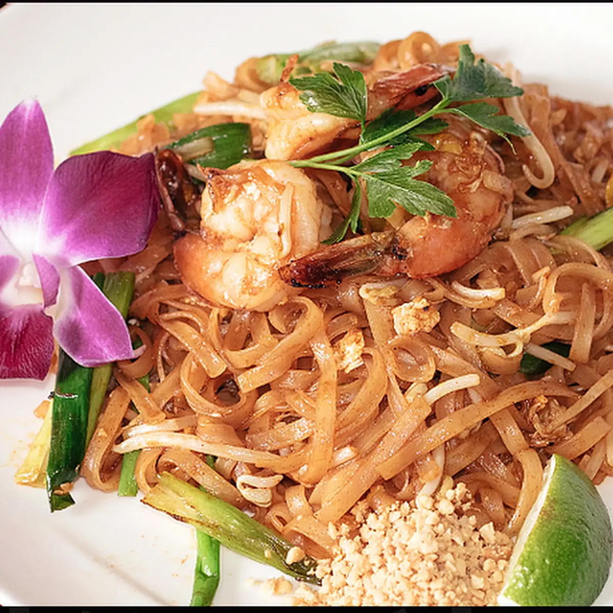 Pad Kee Mao Drunken Noodle