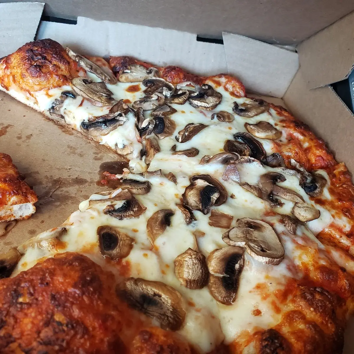 Mushroom Pizza Extra Cheese