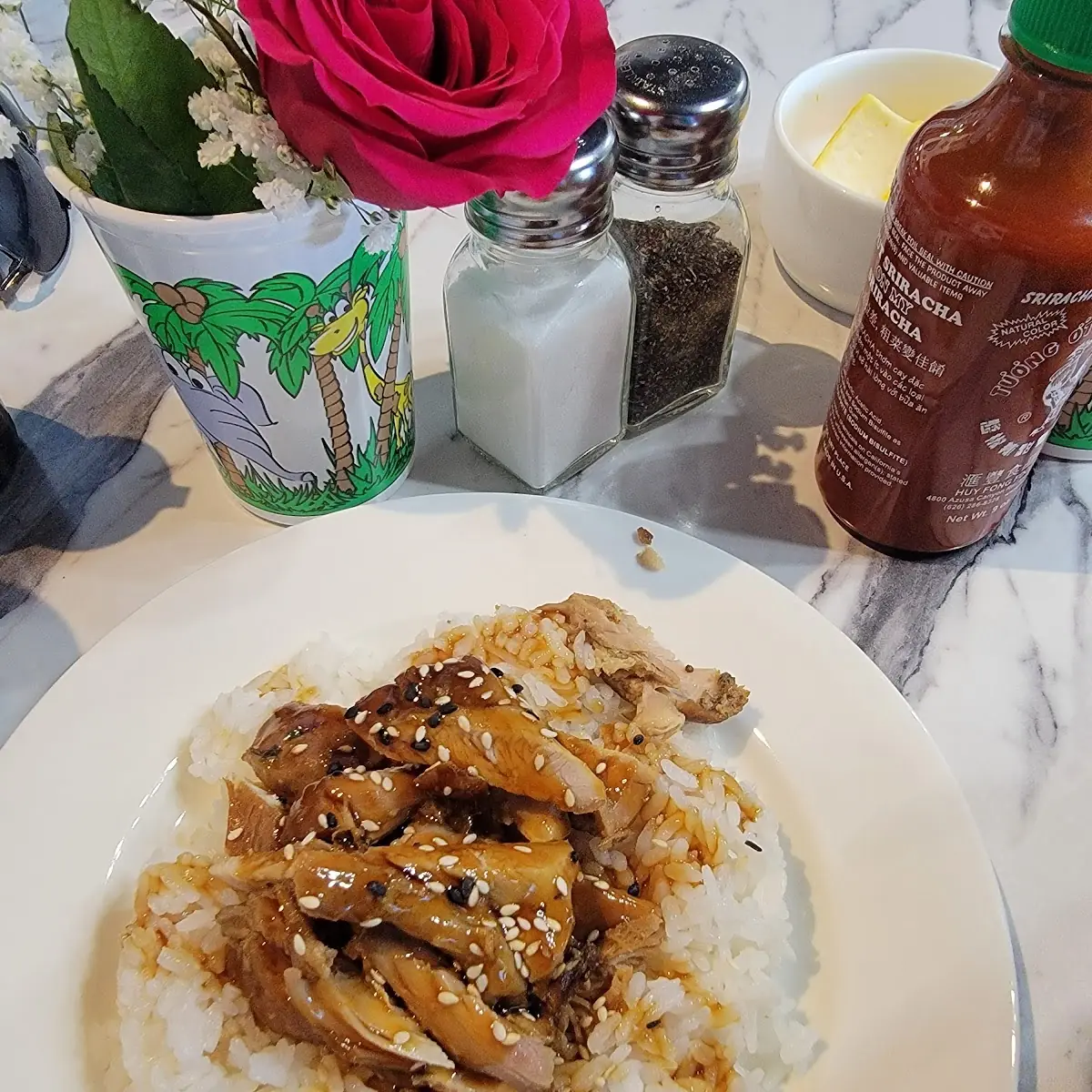 Kids Teriyaki Chicken