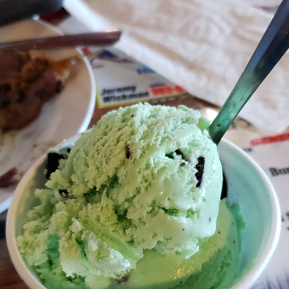 Mint Chocolate Chip Ice Cream