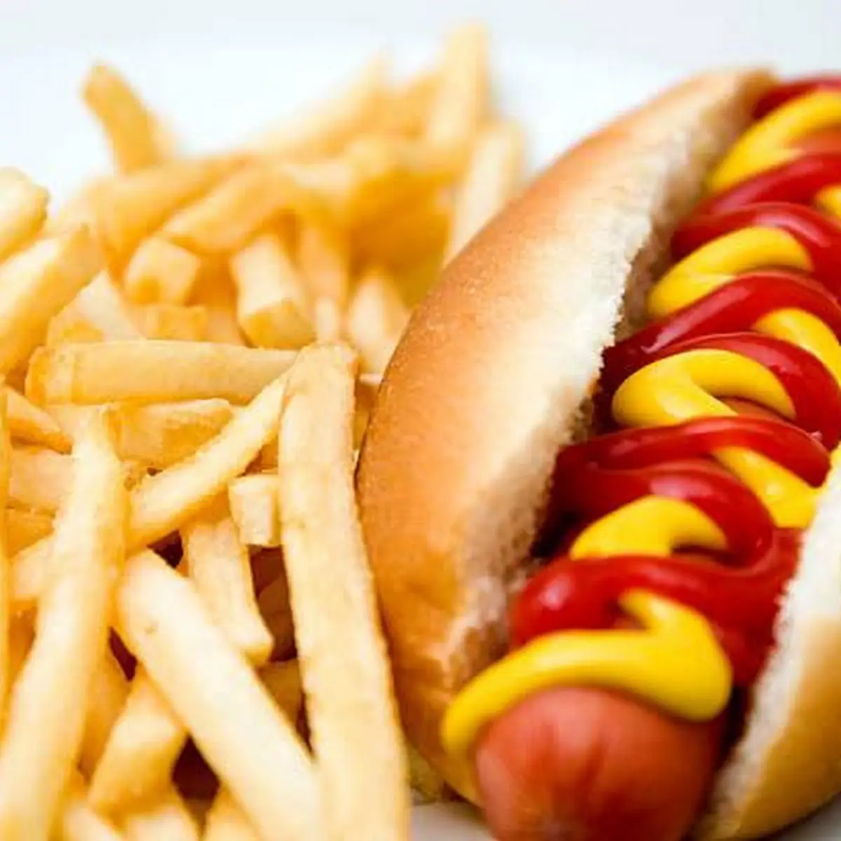 Hot Dog and Fries