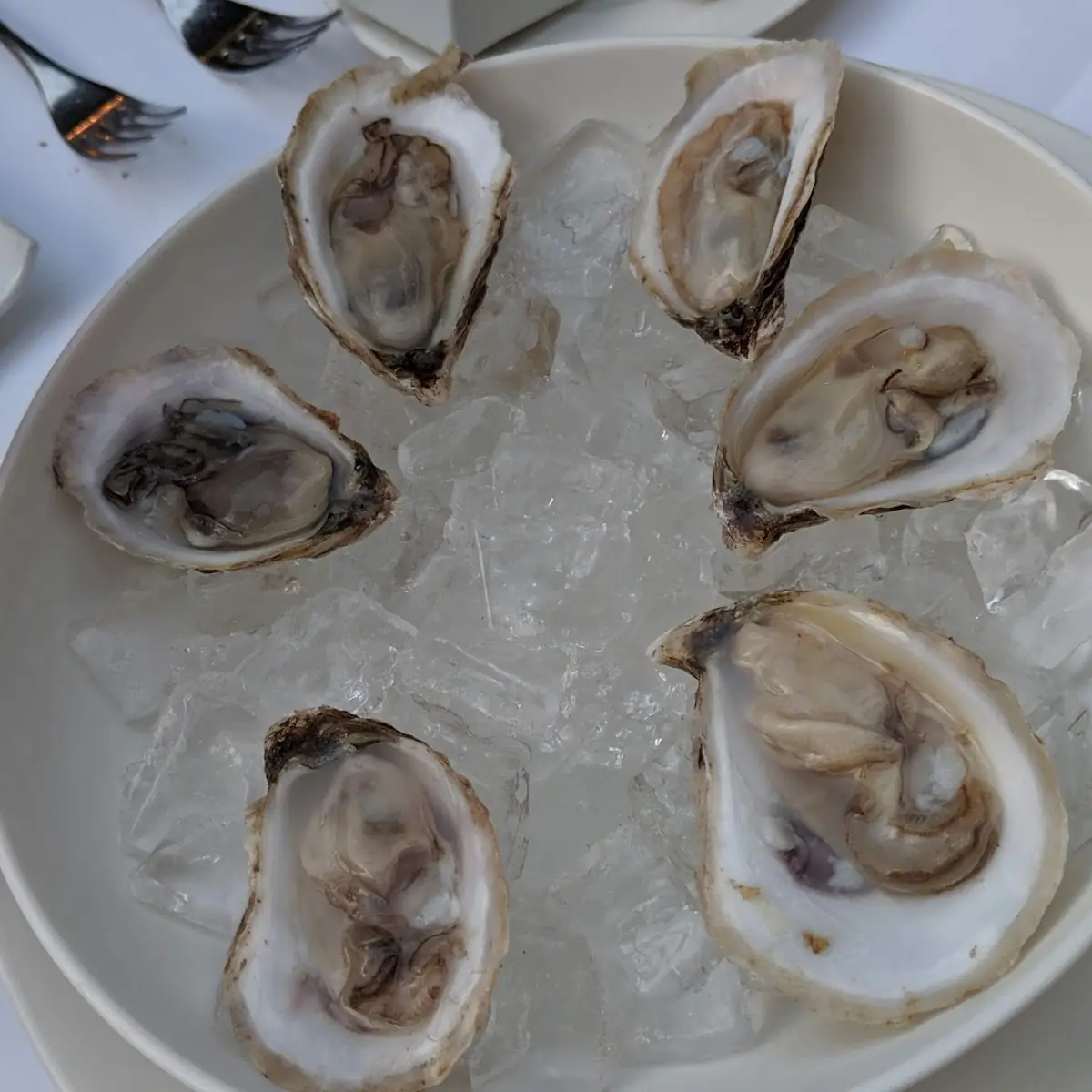 Oysters on the Half Shell