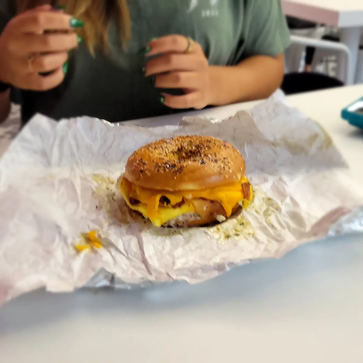 Everything Bagel Sandwich