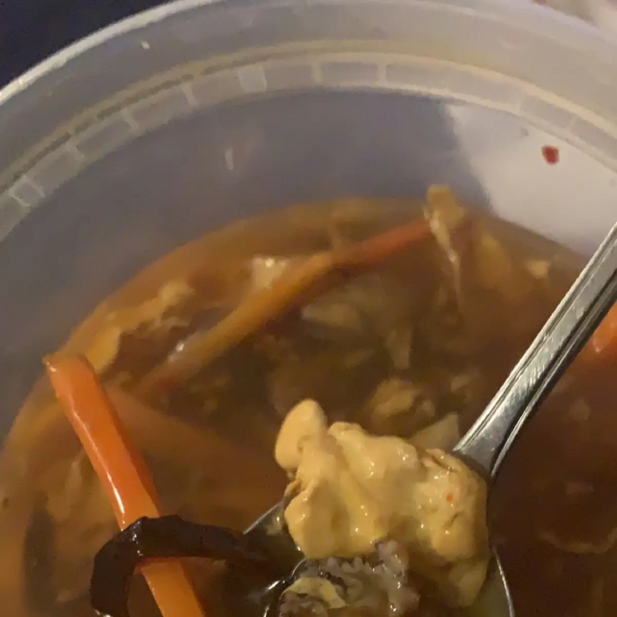 Hot and Sour Soup