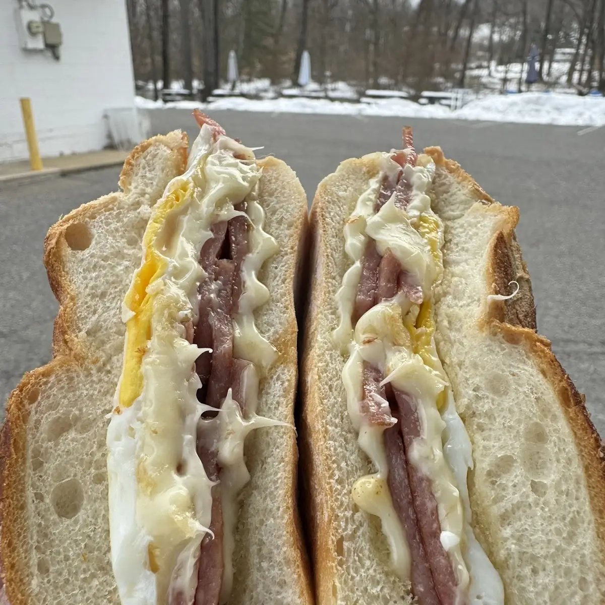 Pastrami Egg & Cheese