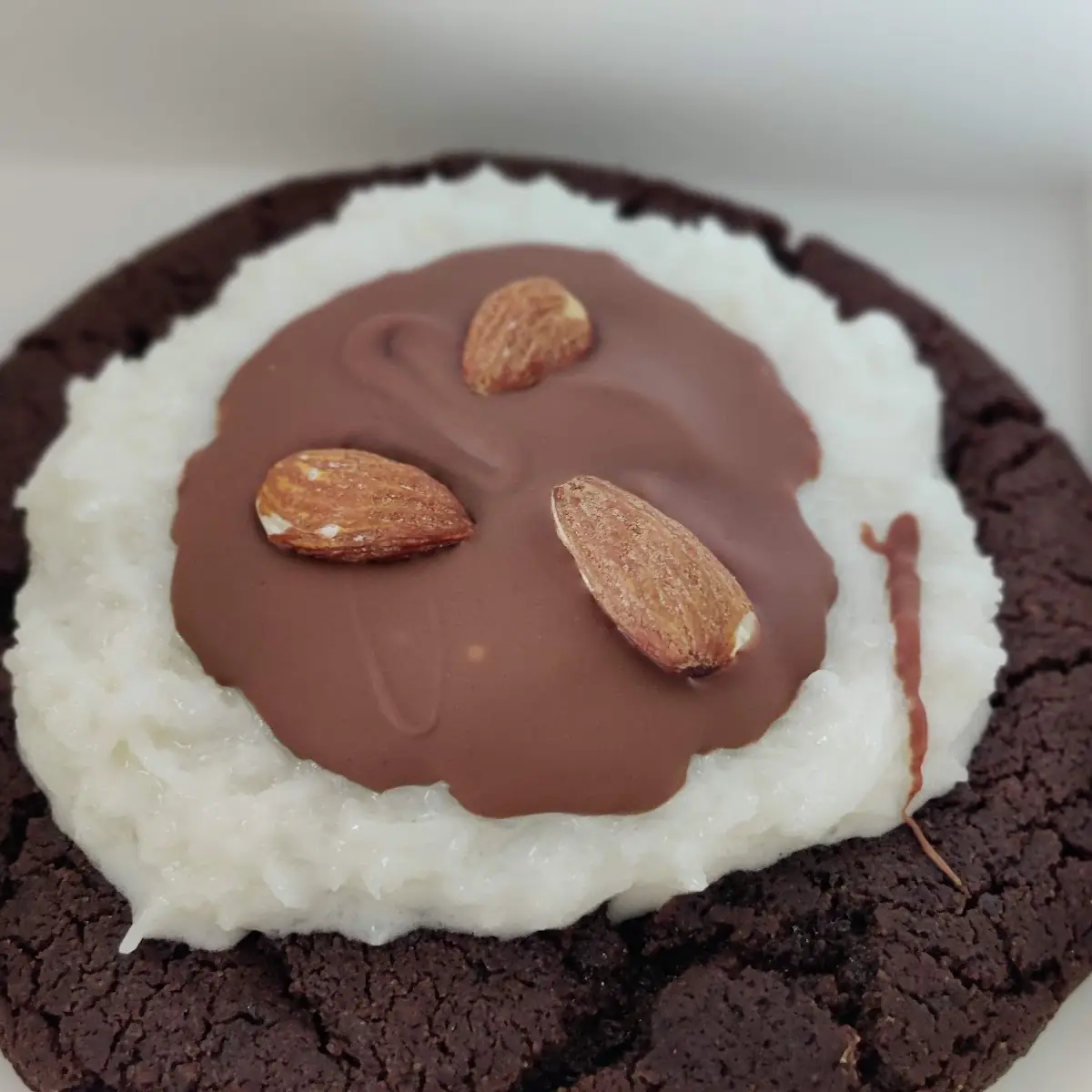Chocolate Coconut Almond