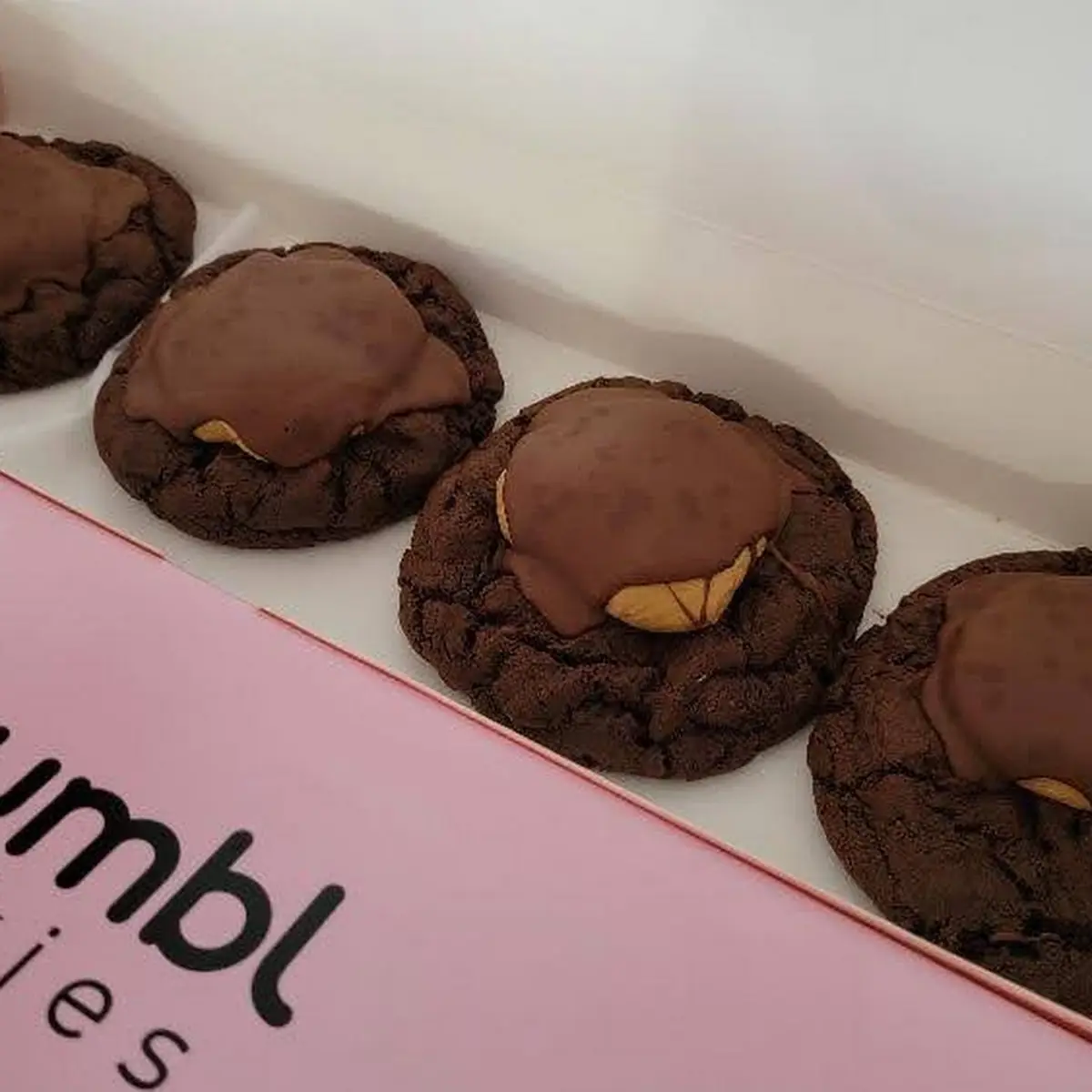 Chocolate Peanut Butter Cookie