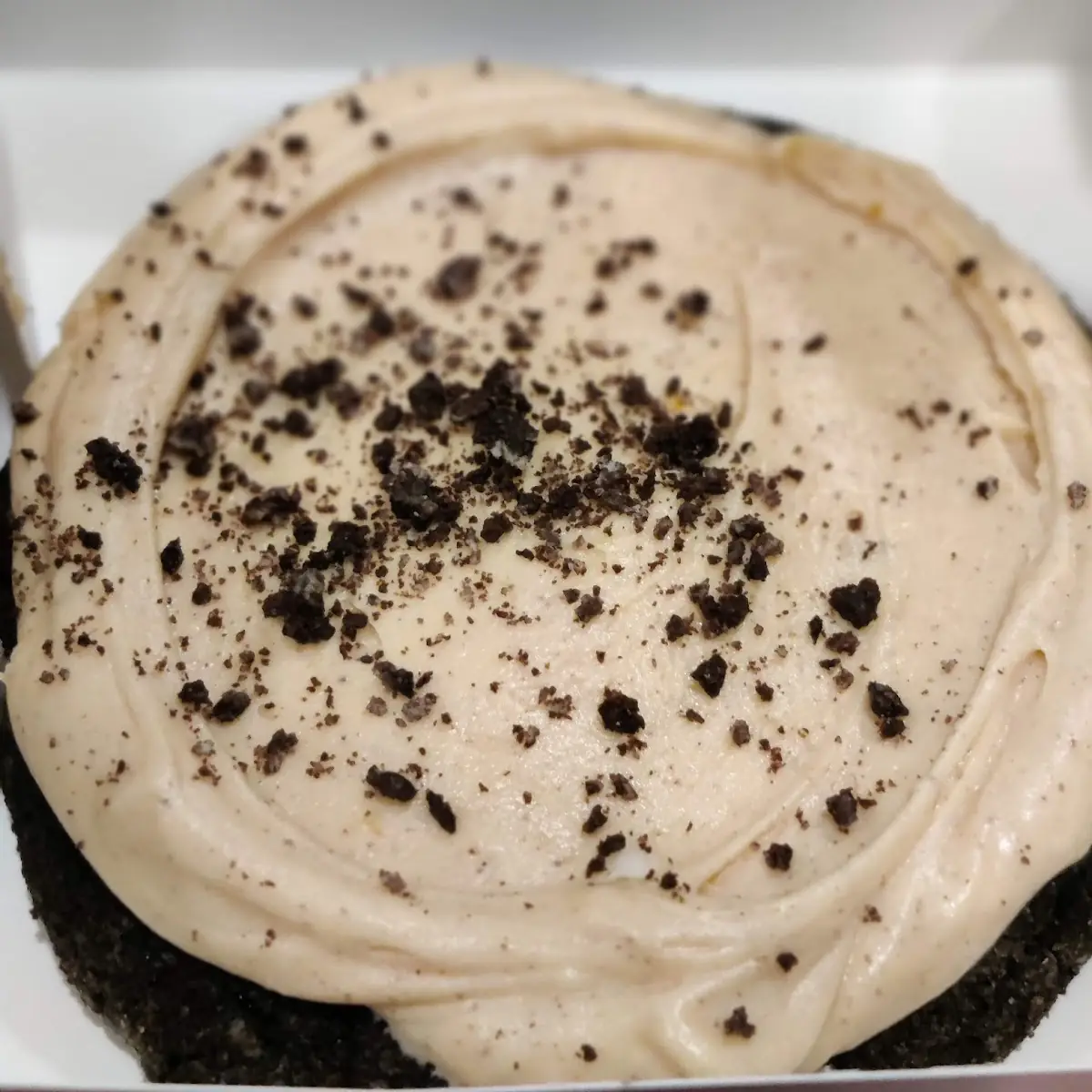 Chocolate Pumpkin Cheesecake