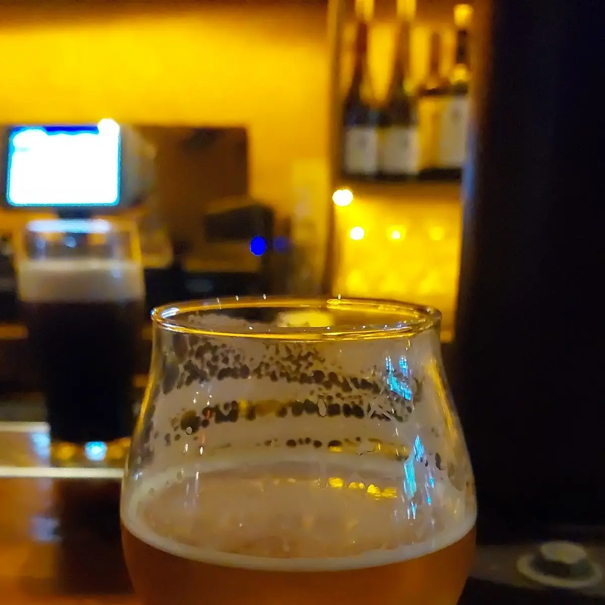 Elysian IPA