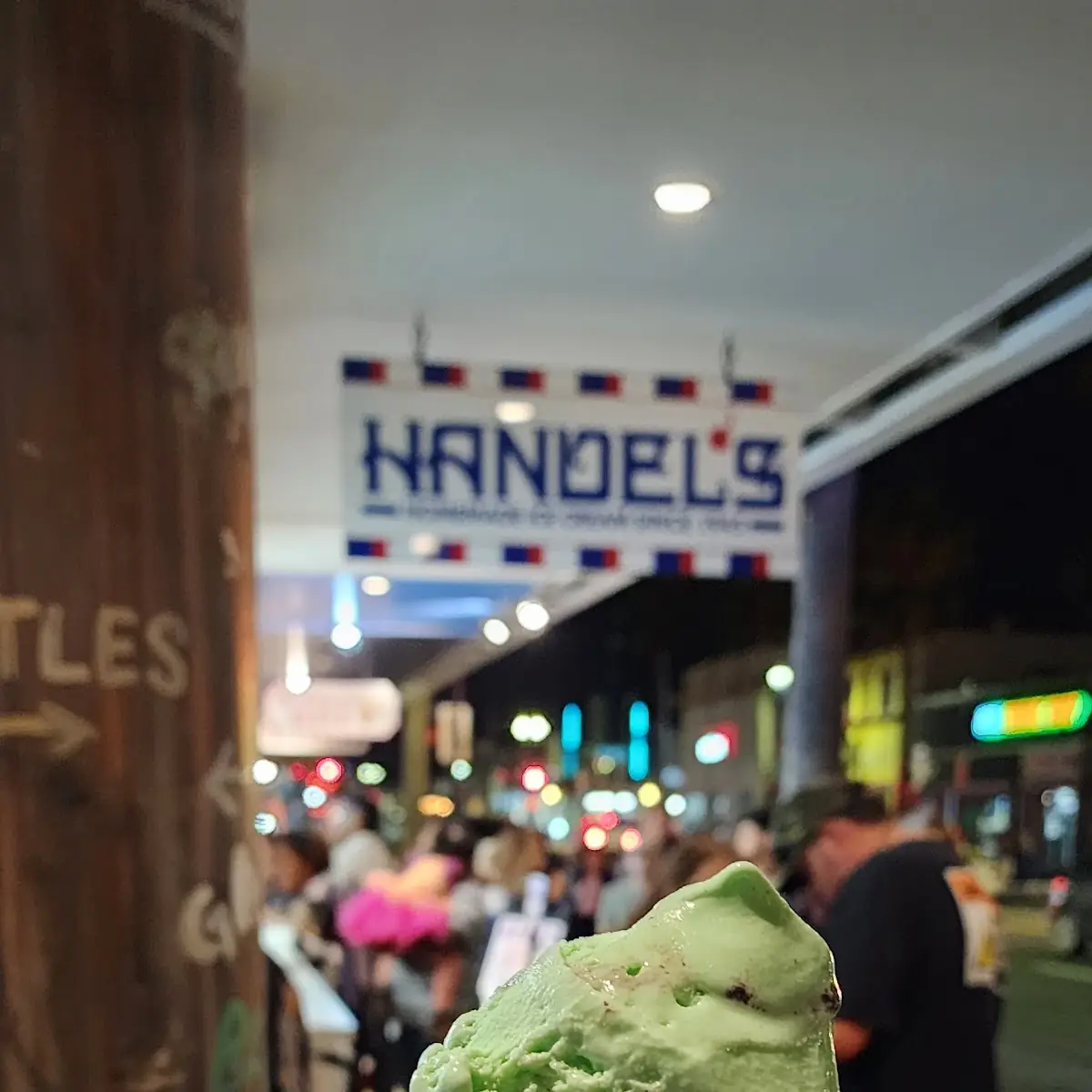 Chocolate Mint Chip
