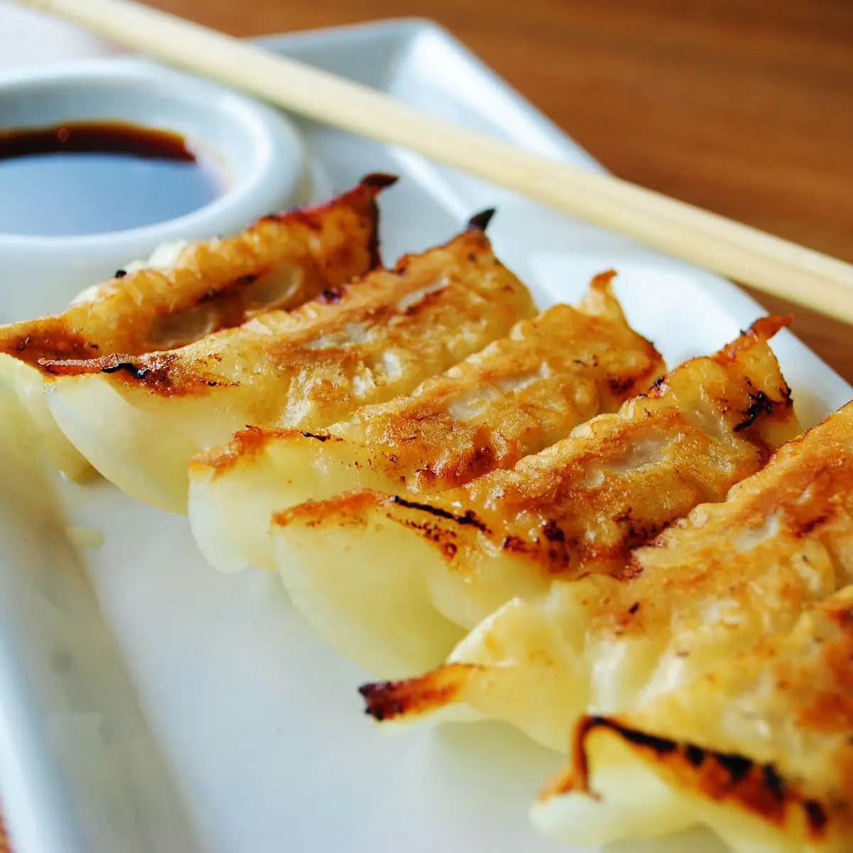 Gyoza Dumpling 8