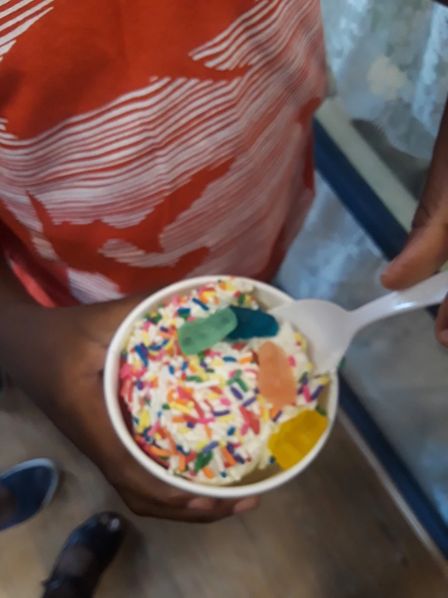 Vanilla Ice Cream with Sprinkles