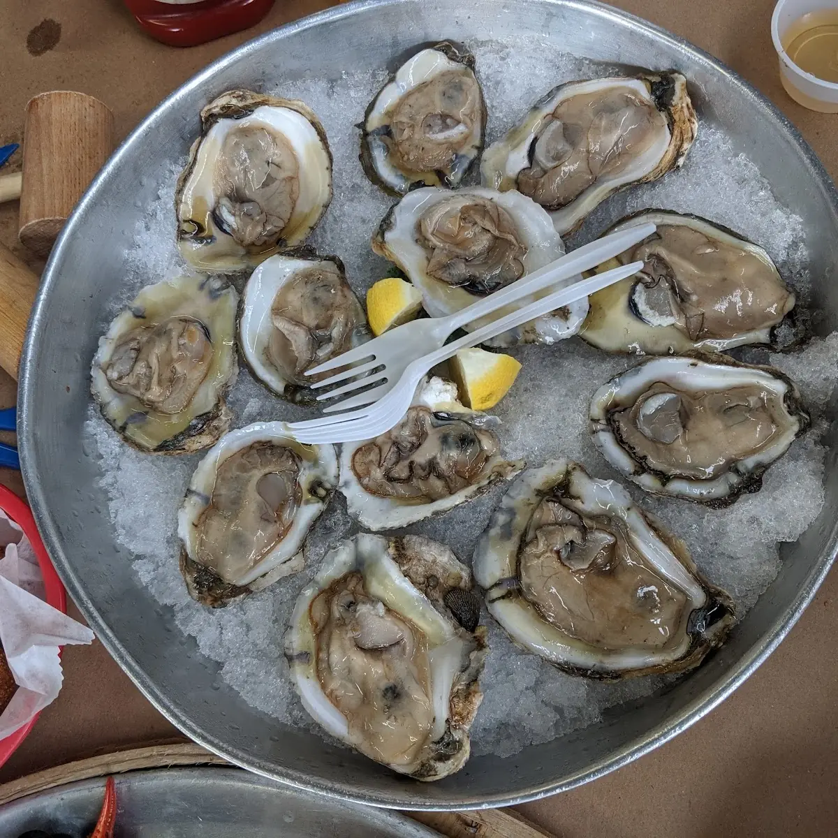 Oysters on the Half Shell