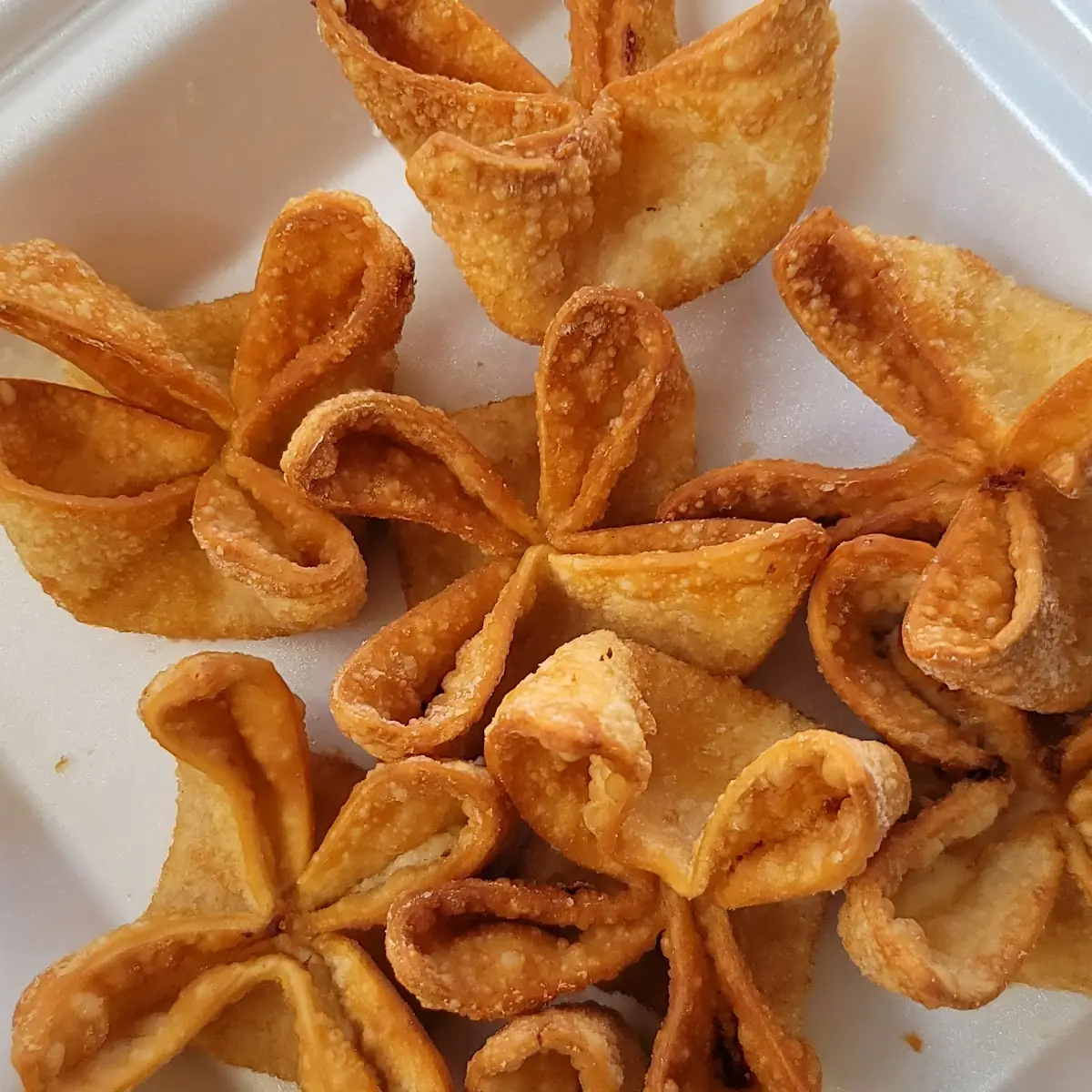 Fried Cheese Wonton 8