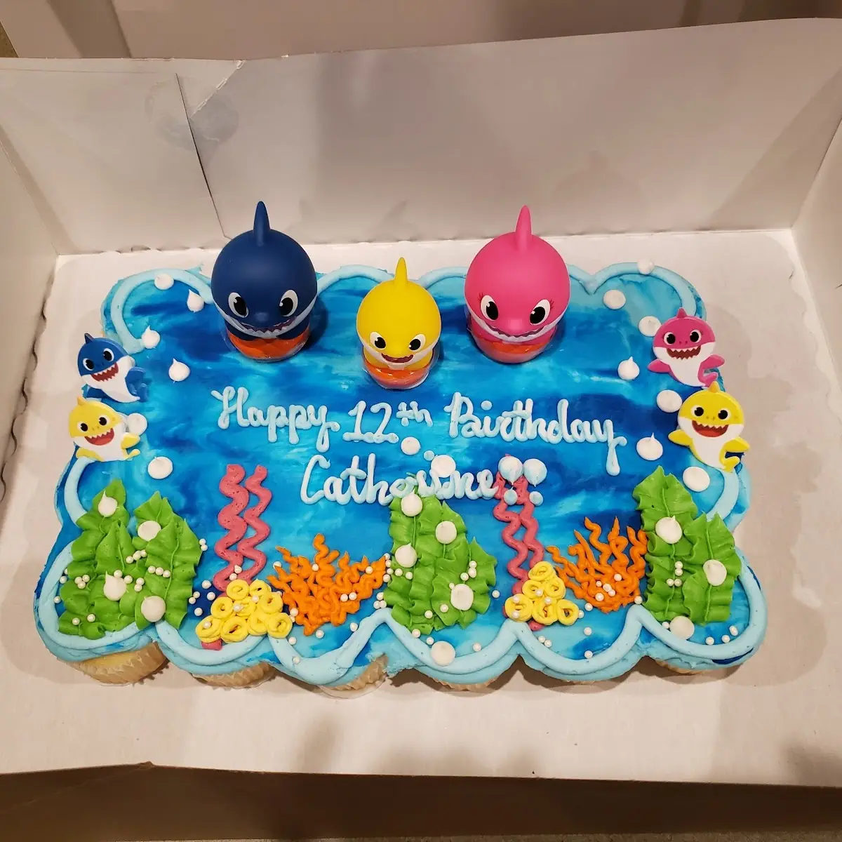 Birthday Cake They Allowed Us to Bring