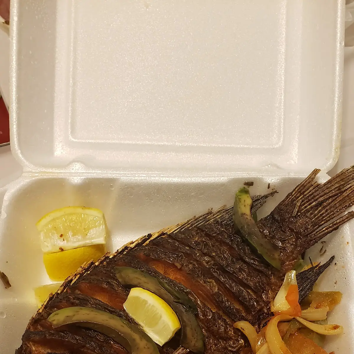 Sea Bass