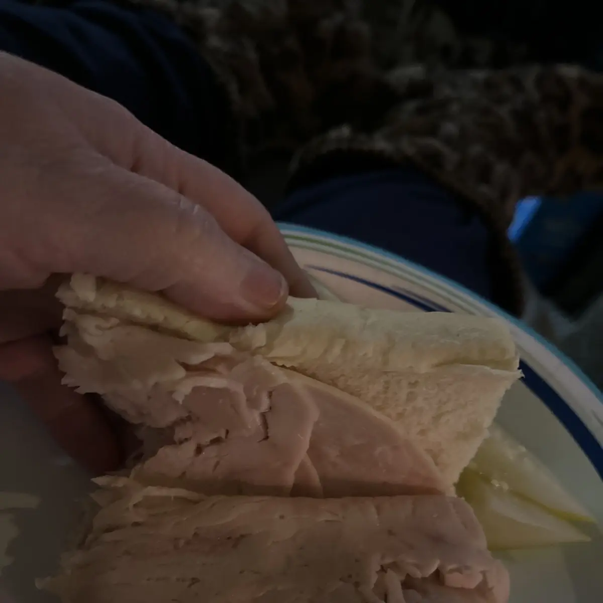 Turkey Sandwich