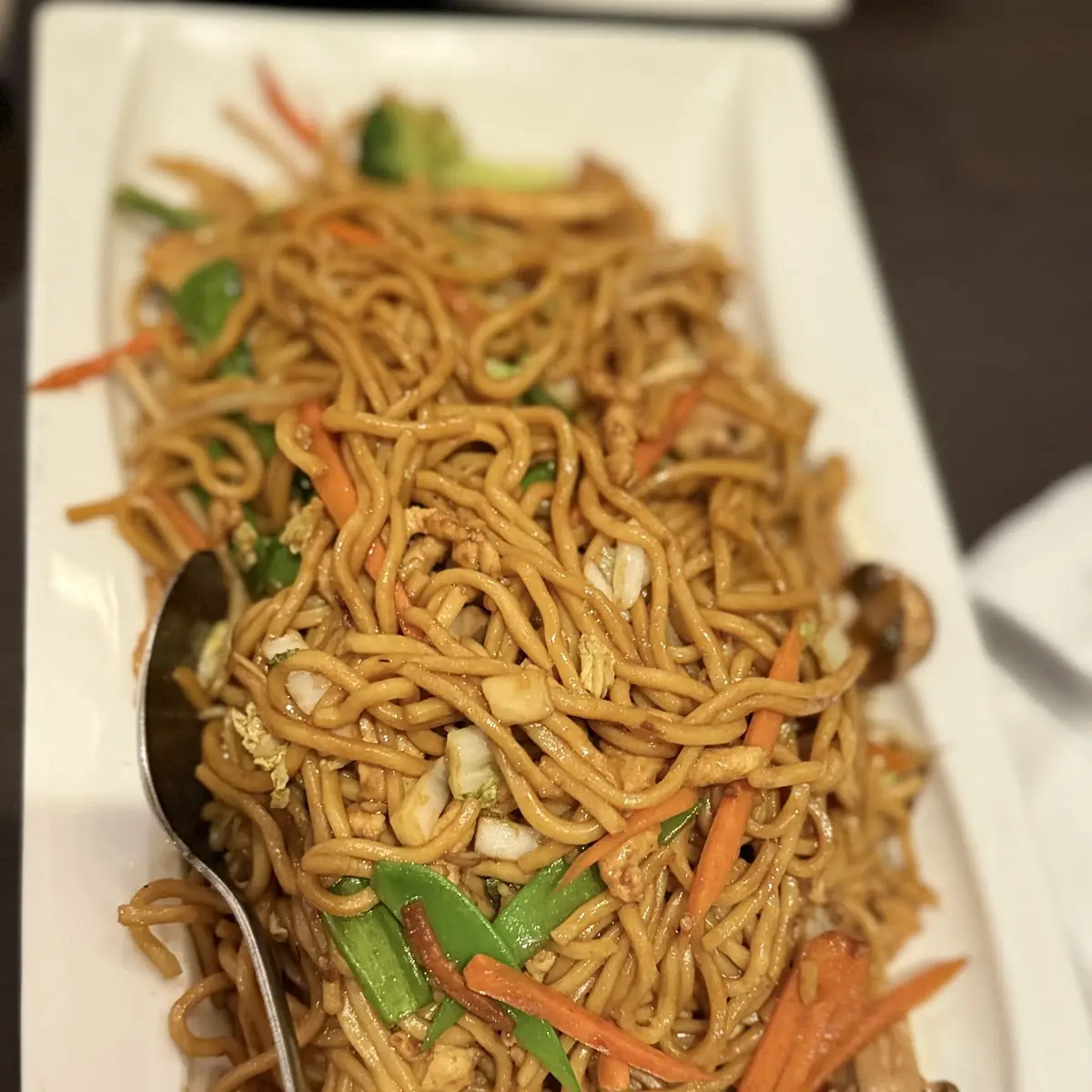 Combination Pan Fried Noodles