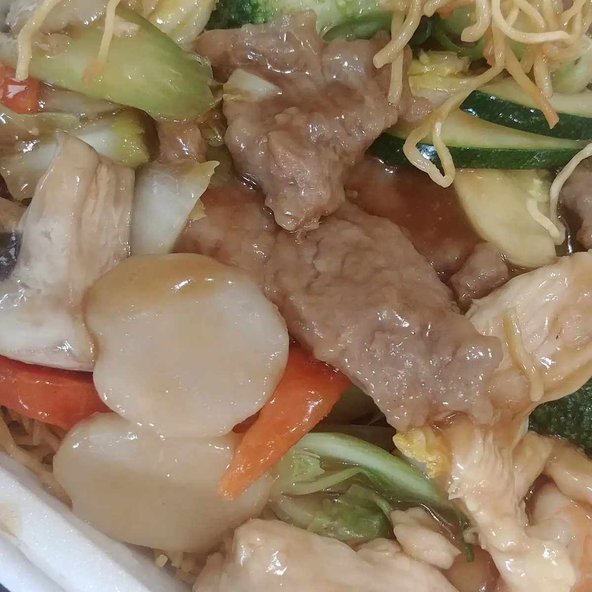 Combo Pan Fried Noodles